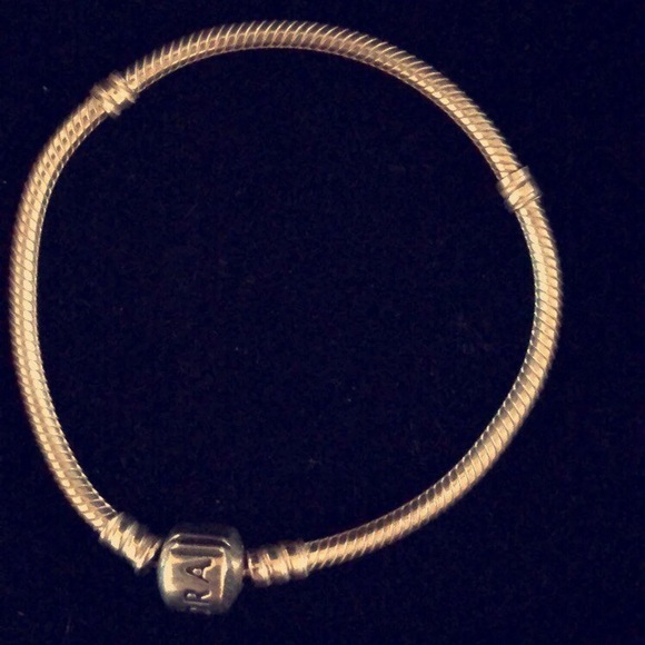 Pandora bracelet & no longer being released charm - Picture 2 of 2